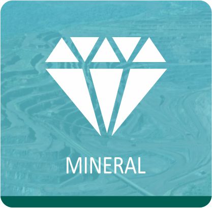 Logo Servico Mineral